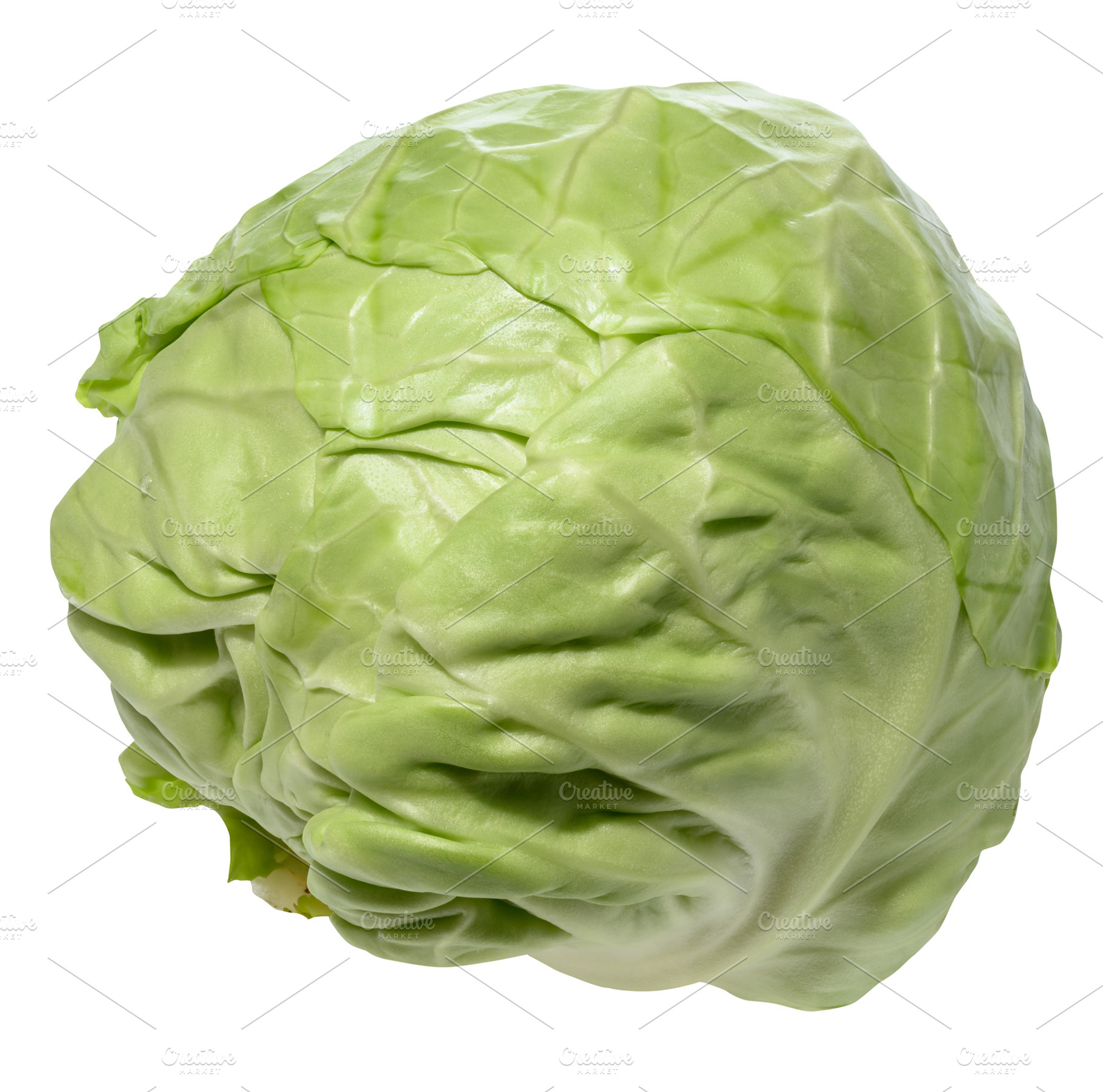 Fresh green cabbage isolated on white background, a Food & Drink Photo by ndanko