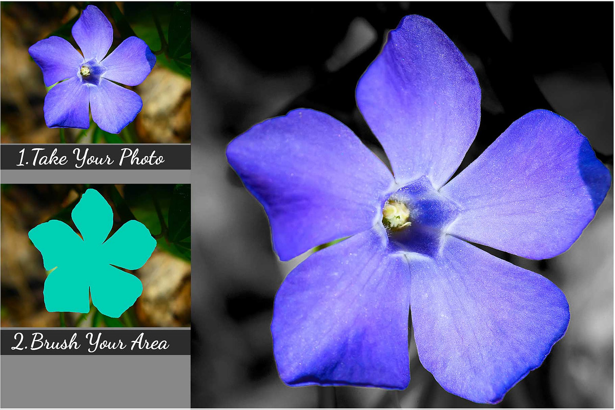 Selective color Photoshop Action