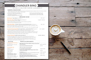 RESUME TEMPLATE, a Resume Template by Graphic Template Co (Thumbnail 2 of 3)