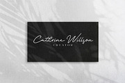 Orlando Signature + Extra Logo, a Script Font by Anxiety Studio (Thumbnail 2 of 14)