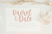 AppleBerry Script Font, a Script Font by Dansie Design (Thumbnail 2 of 7)