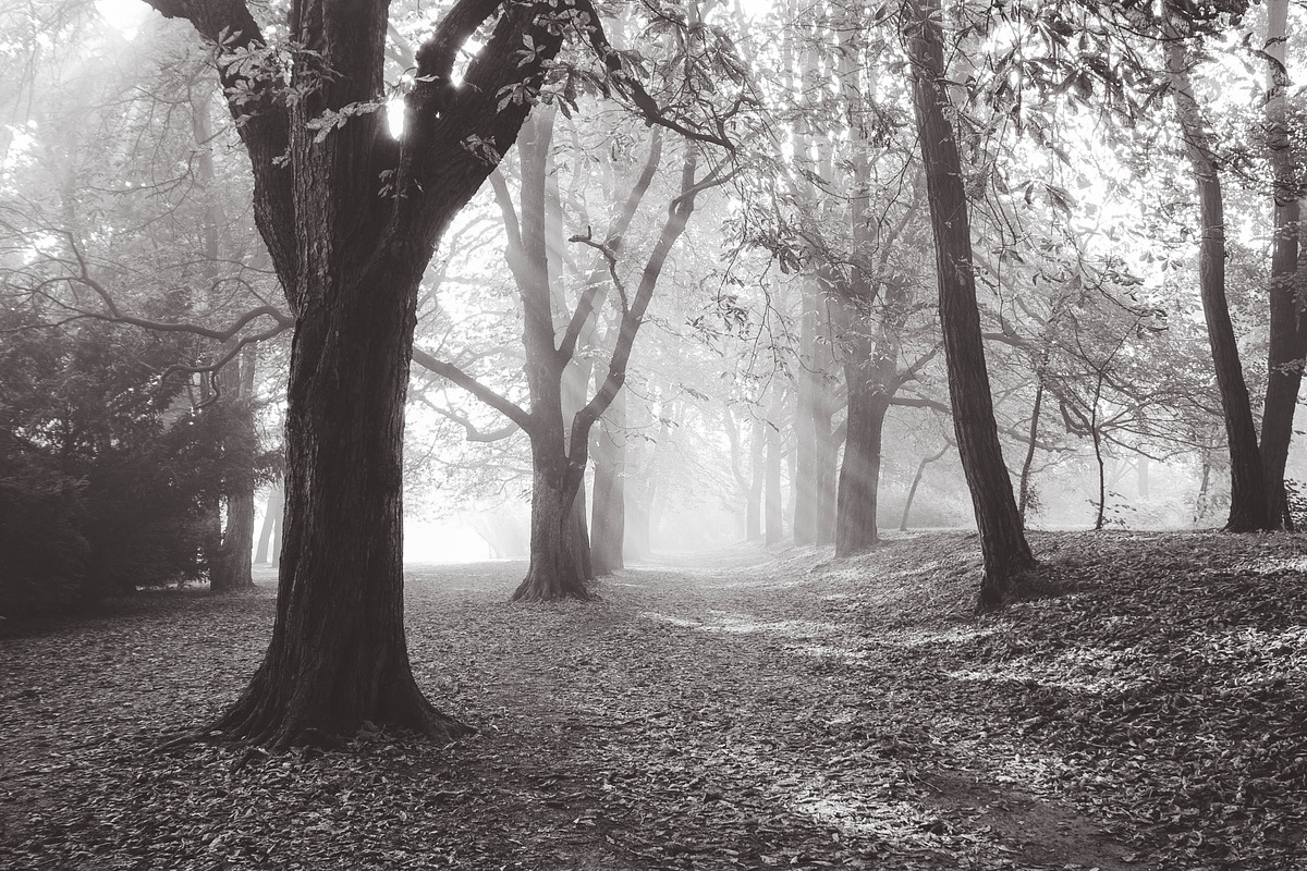 10 Matte B & W Landscape Drama, a Preset Add-On by Timeless Presets (Photo 14 of 17)