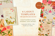 80 Vintage Nature Illustrations, an Object Graphic by The Object Atlas (Thumbnail 4 of 11)