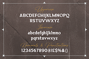 Vintage Serif Font, a Serif Font by Graphue (Thumbnail 5 of 9)