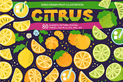 Hand-Drawn Citrus Vector Design Set, a Food Illustration by Lettering_Logo (Thumbnail 1 of 11)