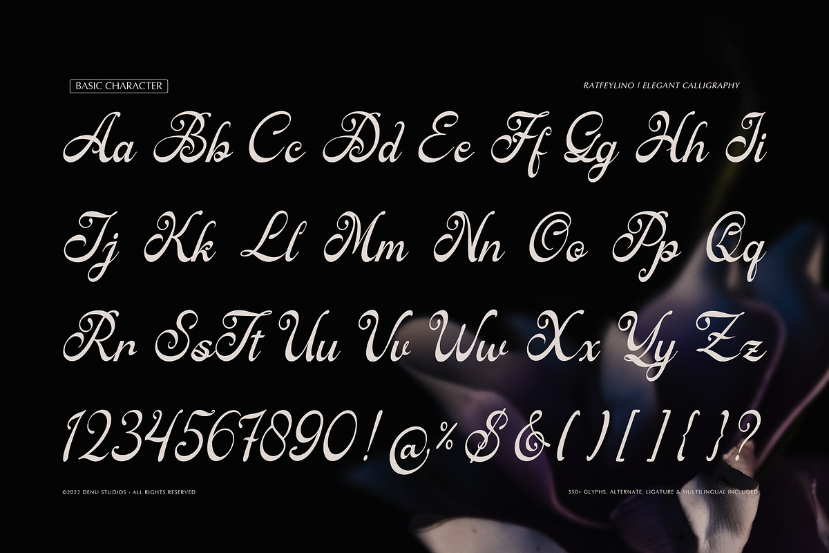 Ratfeylino | Elegant Calligraphy, a Script Font by Denustudios (Photo 11 of 12)