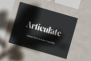 Sandor; Display Serif Font, a Serif Font by Eko Bimantara (Thumbnail 3 of 5)