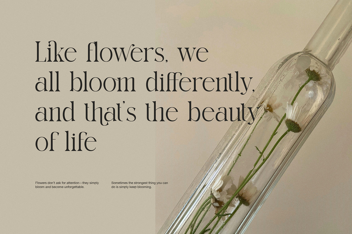 Cindows Elegant Ligature Serif Font, a Serif Font by Perfectype (Photo 4 of 8)