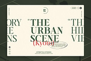 TT Vermolin — Modern Classy Serif, a Serif Font by truetype (Thumbnail 6 of 15)