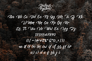 Delhus Fyione, a Script Font by Joko Setiono (Thumbnail 7 of 12)