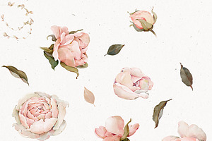 Watercolor Rose Floral Elements