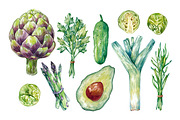 Watercolor Vegetables., a Food Illustration by Olga Olmix (Thumbnail 2 of 6)