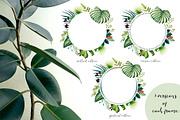 Tropical leaves old pharmacy bottles, an Illustration by marie dricot (Thumbnail 4 of 12)