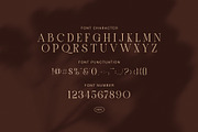 Worid Elegant Luxury Serif Font, a Serif Font by Graphicxell (Thumbnail 7 of 8)