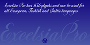 Excelsia Pro, a Script Font by Wiescher-Design (Thumbnail 4 of 11)