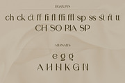 Sonaria - Elegant Modern Sans Serif, a Sans Serif Font by Mockmenot (Thumbnail 6 of 8)