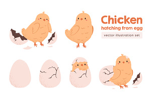 Chicken hatching from egg stages, an Animal Illustration by Good Studio