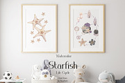Watercolor Starfish Life Cycle Set, an Education Illustration by MayaNavits (Thumbnail 6 of 8)