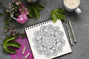 Floral Doodles Collection, a Decorative Illustration by Elinorka (Thumbnail 9 of 9)