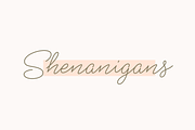 Shaker Script, a Script Font by Fenotype (Thumbnail 6 of 7)