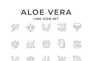 Set line icons of aloe vera, an Outline Icon by motorama (Thumbnail 1 of 2)