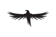 Black raven crow body and wings., an Object Graphic by DeShoff Art (Thumbnail 5 of 8)