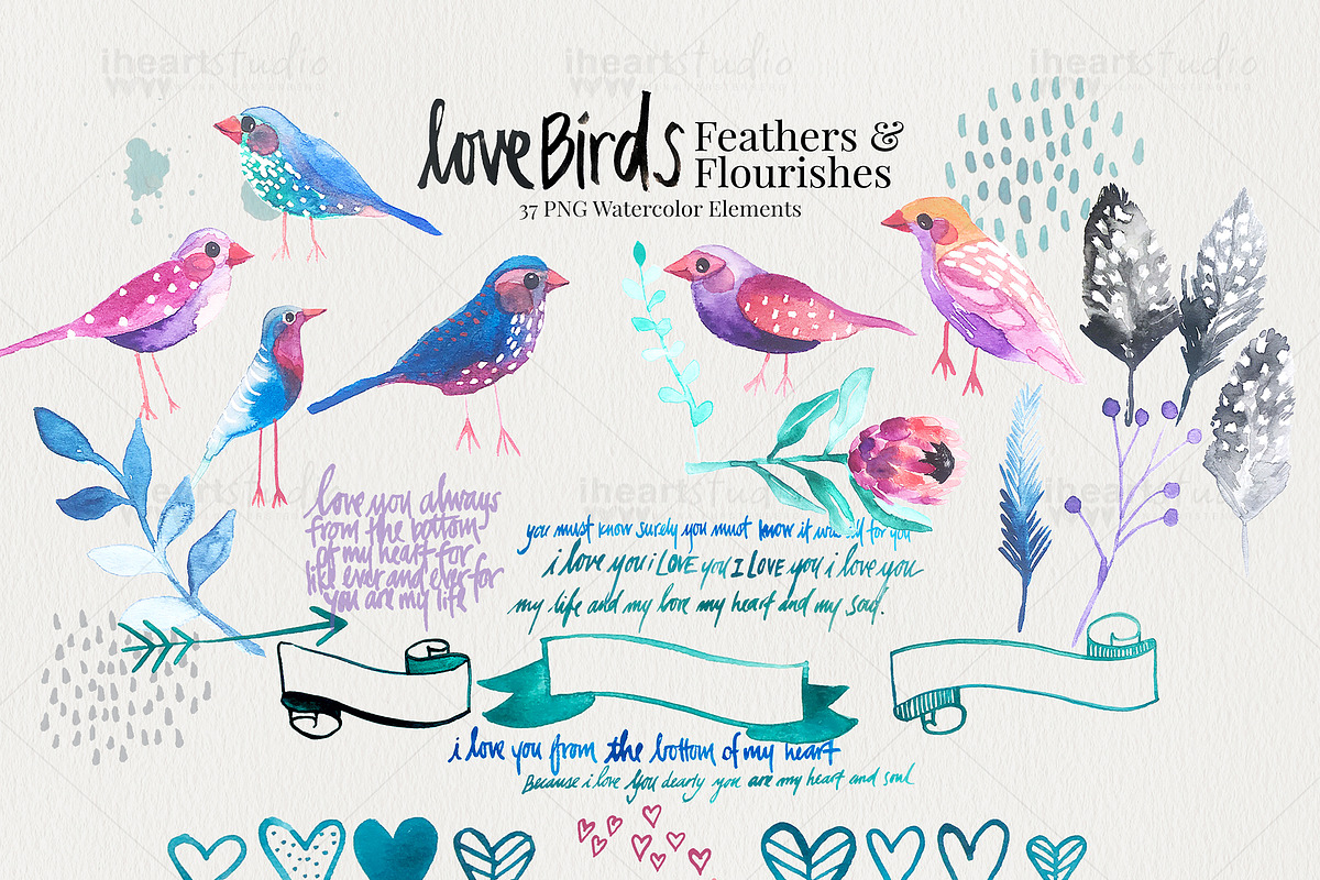 Love Birds Watercolors, an Illustration by iHeartStudio (Photo 3 of 4)