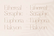 Haloyen Stylish Font Serif, a Serif Font by Storytype Studio (Thumbnail 8 of 15)