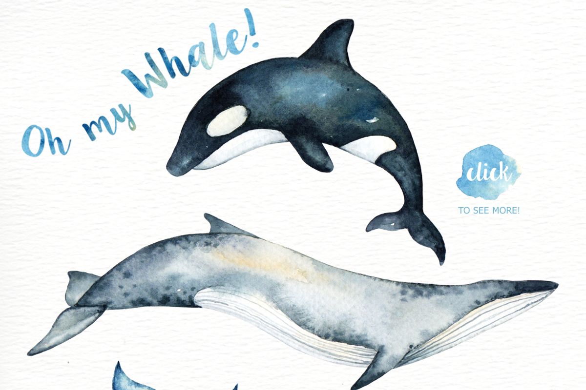 Oh My Whale! Watercolor Clip Arts, an Animal Illustration by everysunsun (Photo 3 of 4)