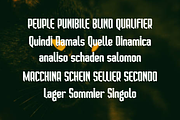 Crisno, a Slab Serif Font by lelevien (Thumbnail 3 of 5)