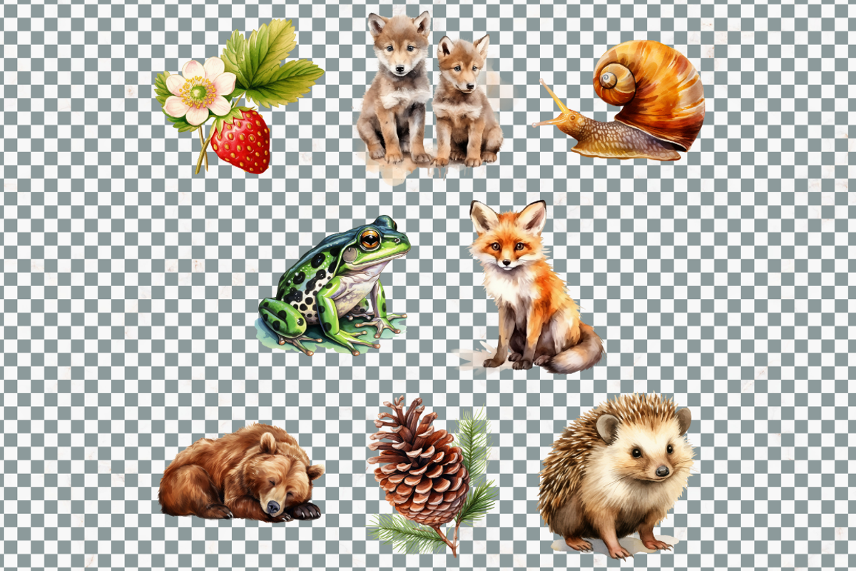 Woodland Animals Clipart Bundle, an Animal Illustration by Mash Mash Stickers (Photo 8 of 9)