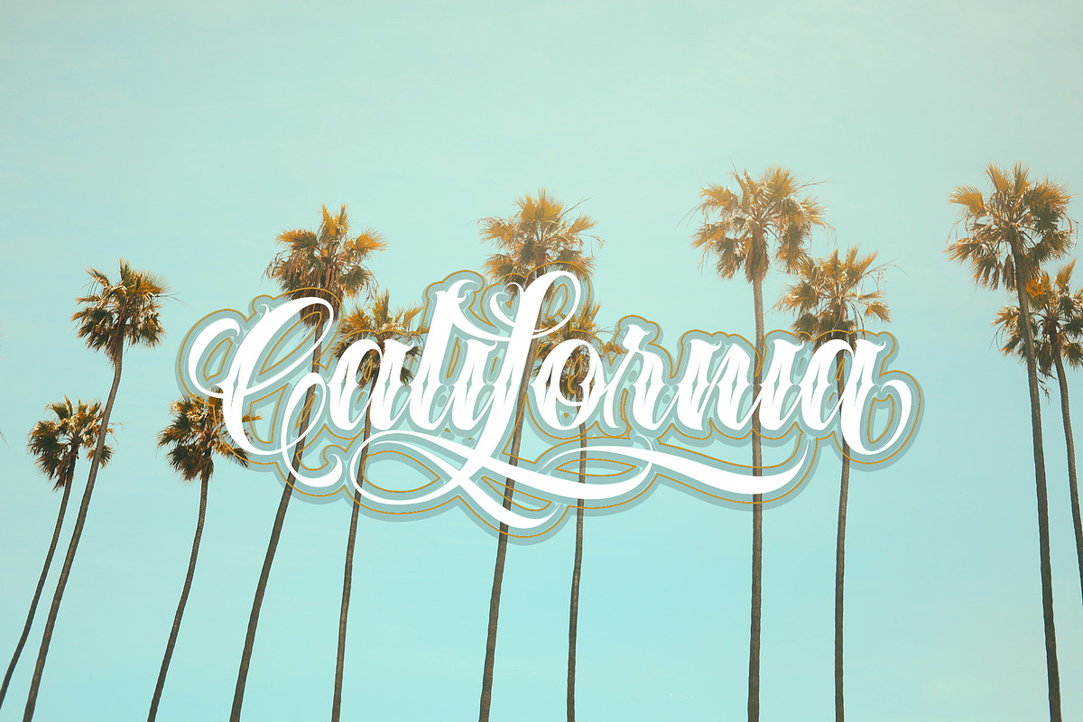 Dayles Script Fonts preview 5