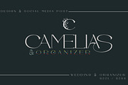 Axmiq Richard, a Slab Serif Font by Bramcreative (Thumbnail 2 of 12)