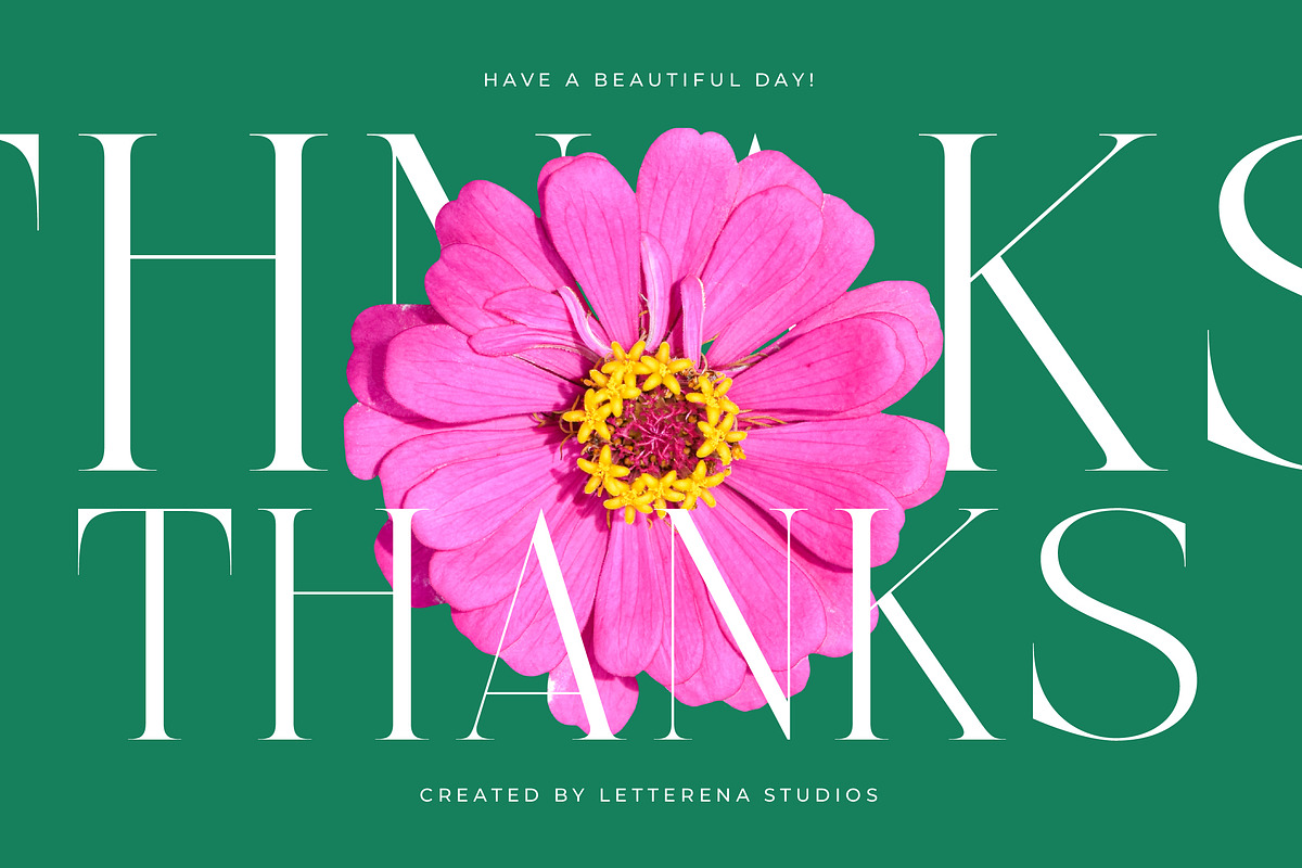 Nelhinco Modern Display Serif, a Serif Font by Letterena Studios (Photo 15 of 15)