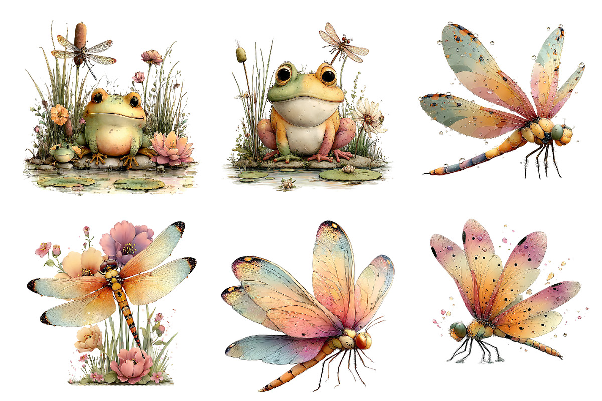 Summer Frog & Dragonfly Pond Clipart, a Seasonal Illustration by Designworld (Photo 4 of 10)