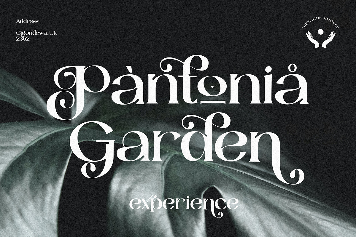 Catilde Modern Sans Serif, a Serif Font by Fortunes Co (Photo 4 of 17)