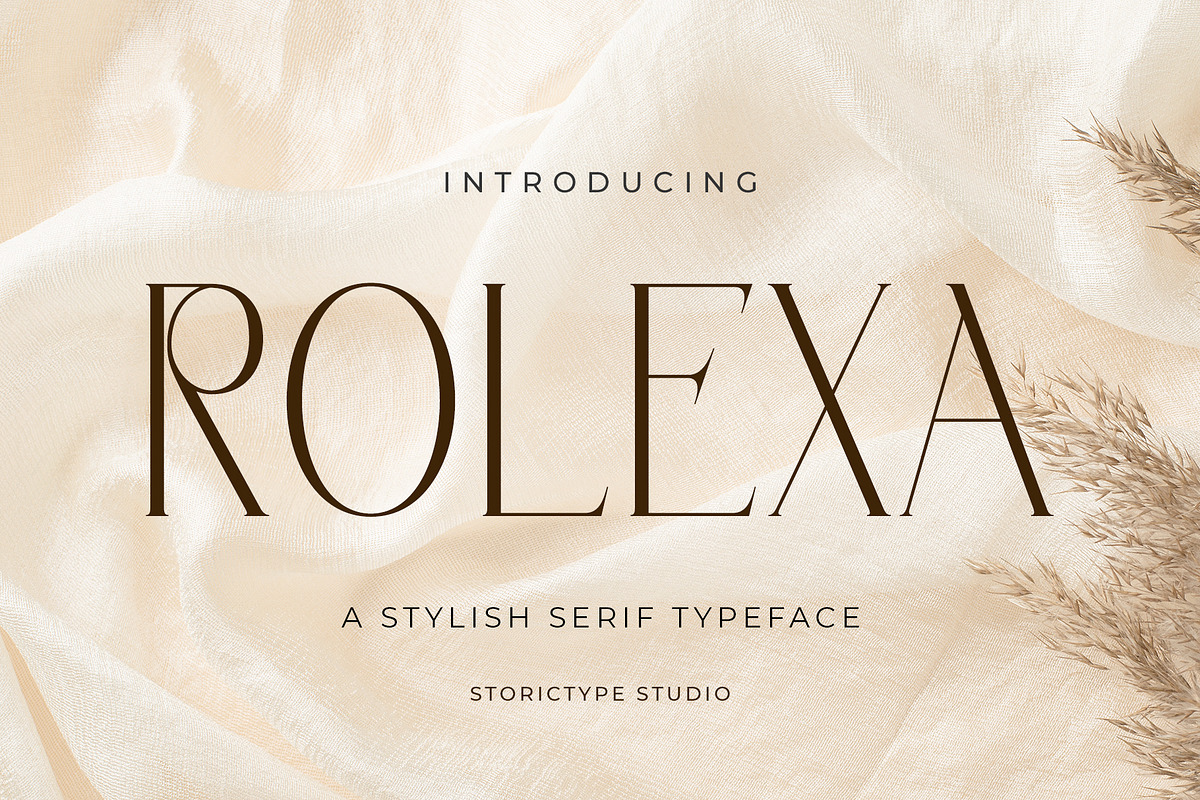 The Beauty Font Bundle | 6 in 1, a Script Font by StoricType (Photo 2 of 23)