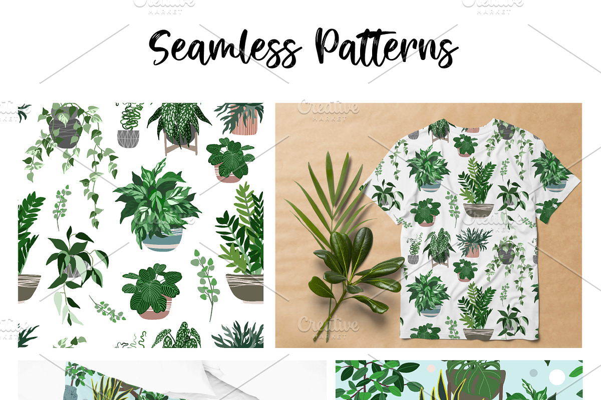 Indoor Plants, Vector Set, an Object Graphic by JSolomatina (Photo 5 of 13)