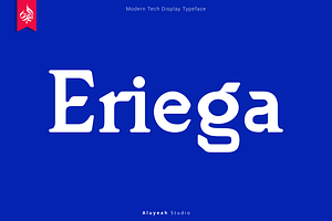 Eriega Modern Tech Display