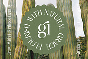Nostalgic Flashy Modern Serif, a Serif Font by timelesstype.co (Thumbnail 4 of 20)