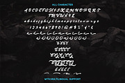 Winland - Brush Font, a Script Font by Littlehand (Thumbnail 9 of 9)