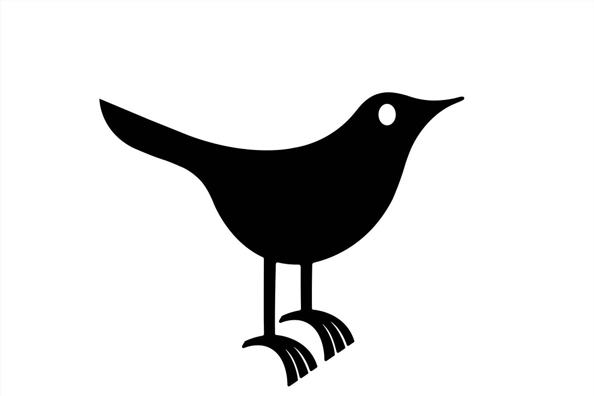 Twitter Bird, an Animal Illustration by Simons drawings