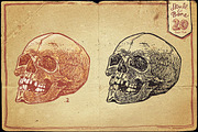 Vintage Skull and Bone Vector pack, an Illustration by Itsmesimon (Thumbnail 3 of 11)