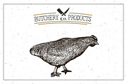 Butcher Shop Chicken Logo Template, an Animal Illustration by Lemon Workshop (Thumbnail 3 of 3)