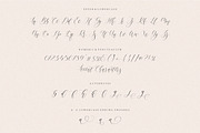 Felmora - Modern Calligraphy Font, a Script Font by Balpirick Studio (Thumbnail 6 of 7)