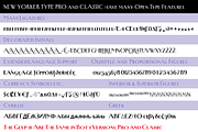 New Yorker Type - Classic and Pro, a Font by Wiescher Design (Thumbnail 7 of 7)