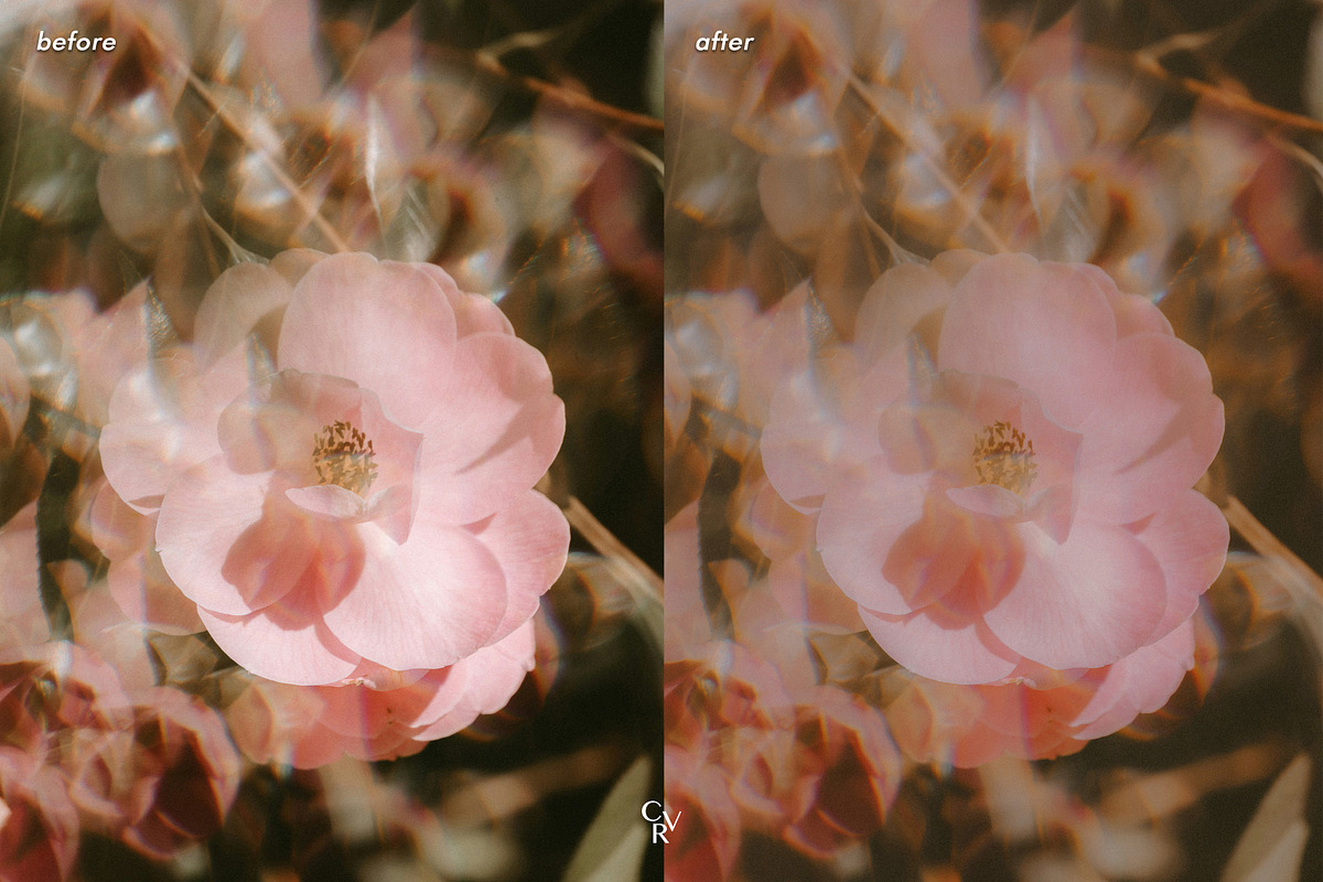 25 Dreamy Film Lightroom Presets, a Preset Add-On by CVR Presets (Photo 4 of 7)