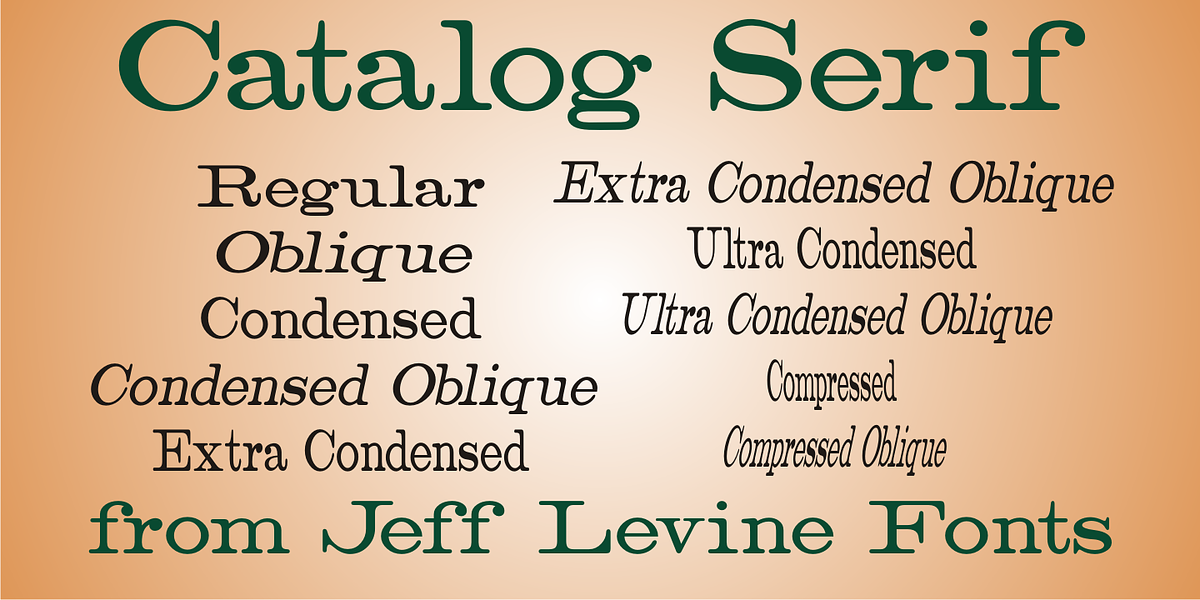 Catalog Serif JNL, a Serif Font by Jeff Levine Fonts