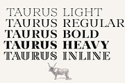 Taurus -high class serif, a Serif Font by Fenotype (Thumbnail 9 of 9)