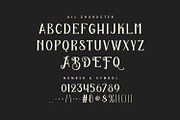 Lactia Serif Display Typeface, a Serif Font by Maulana Creative (Thumbnail 4 of 7)